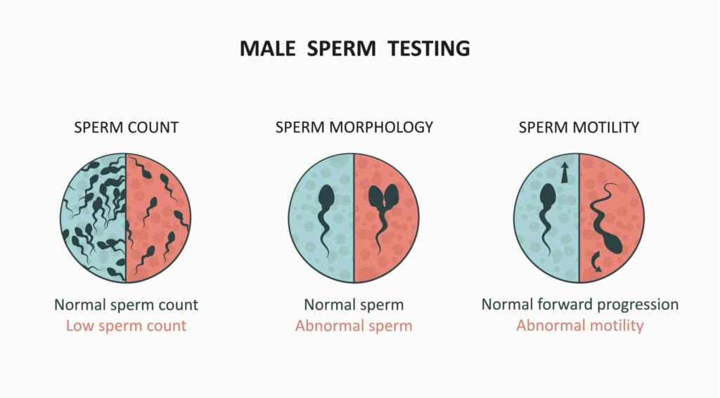 sperm testing